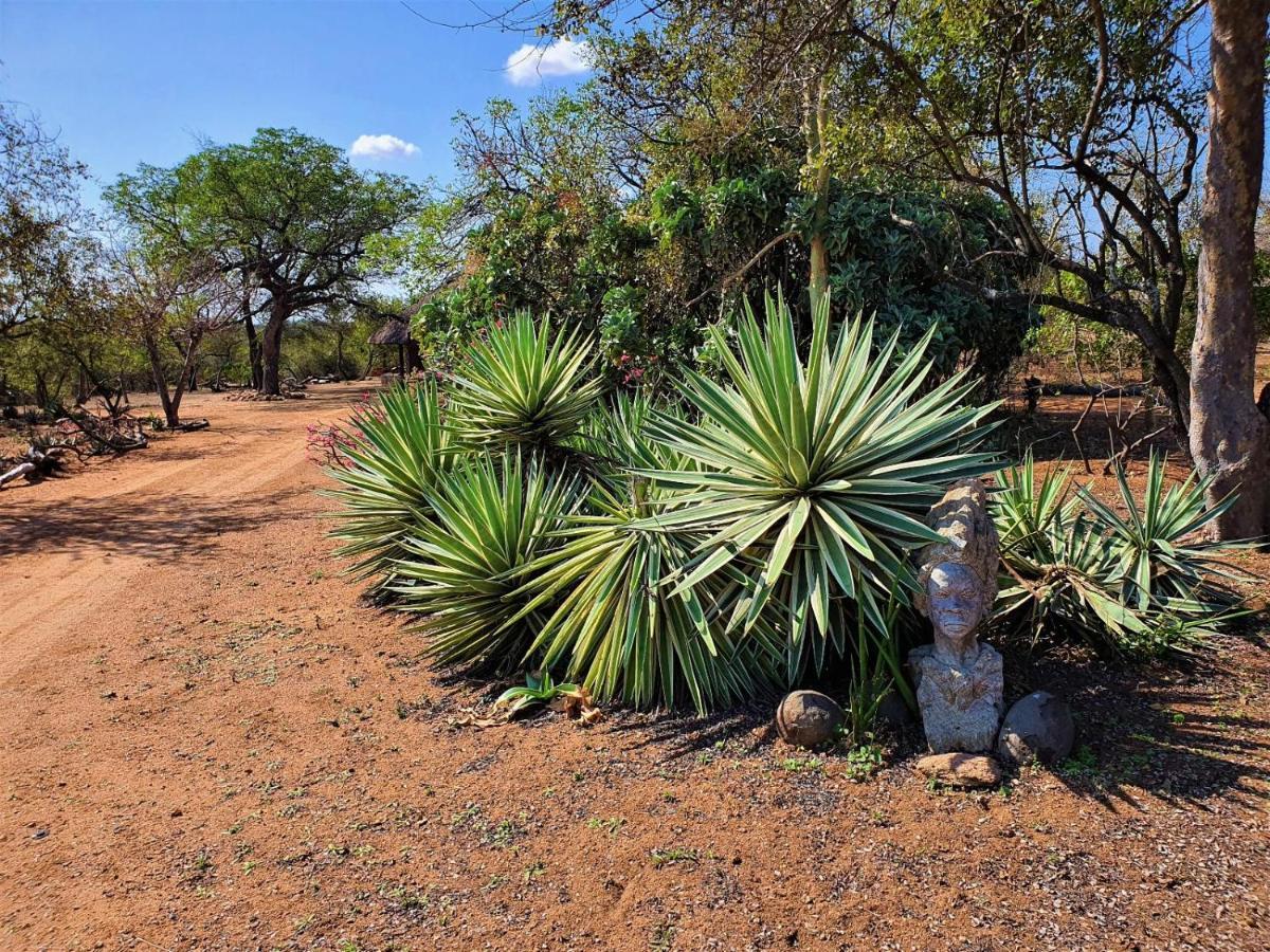 Masorini Bush Lodge & Safari Tents Phalaborwa Kültér fotó