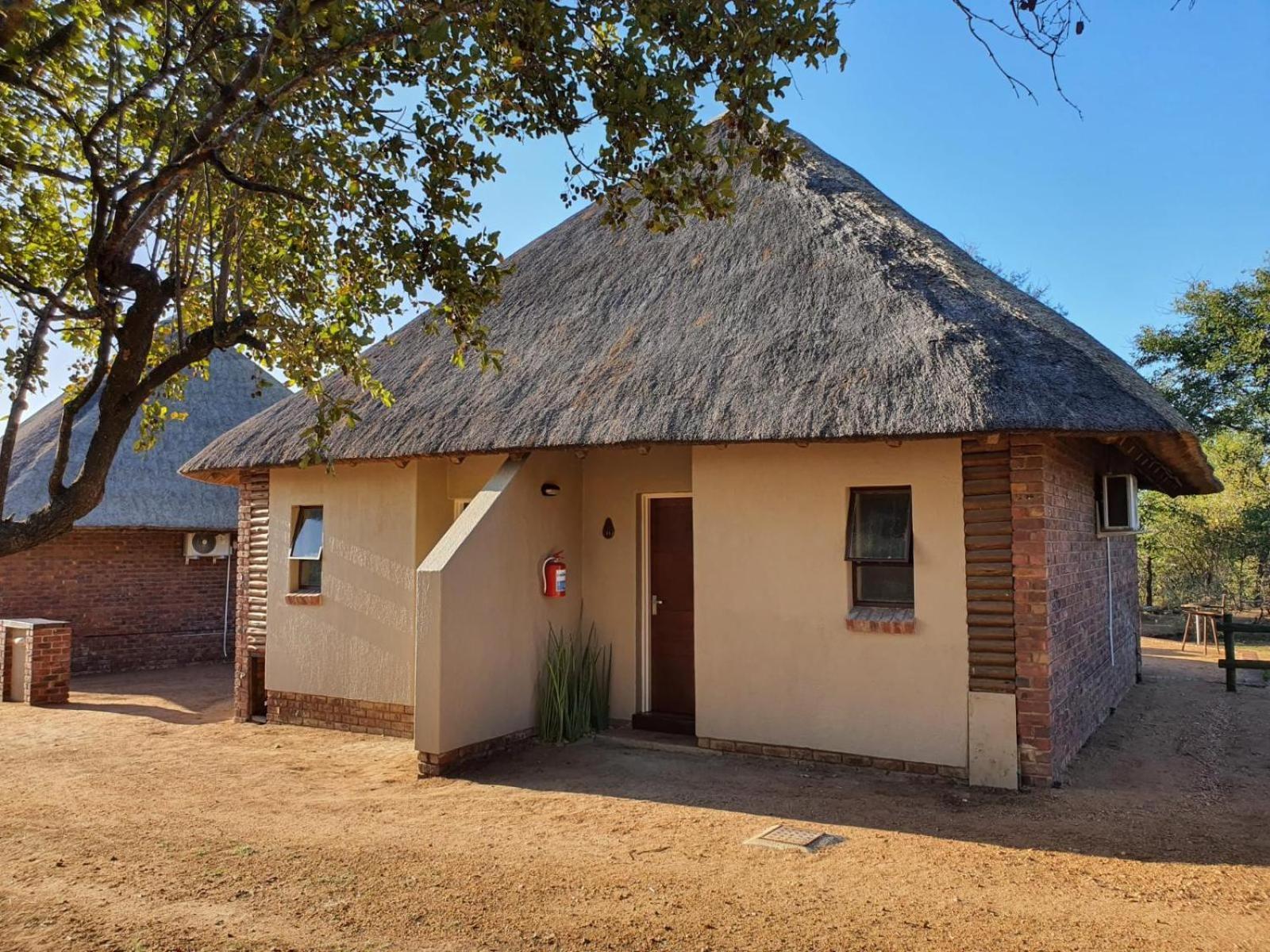 Masorini Bush Lodge & Safari Tents Phalaborwa Szoba fotó