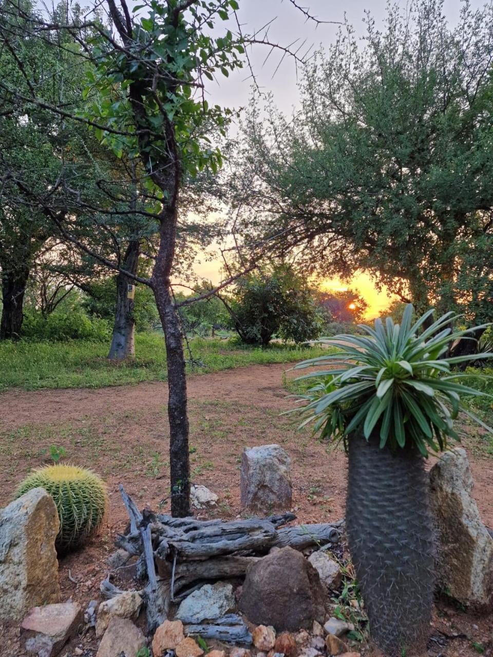Masorini Bush Lodge & Safari Tents Phalaborwa Kültér fotó