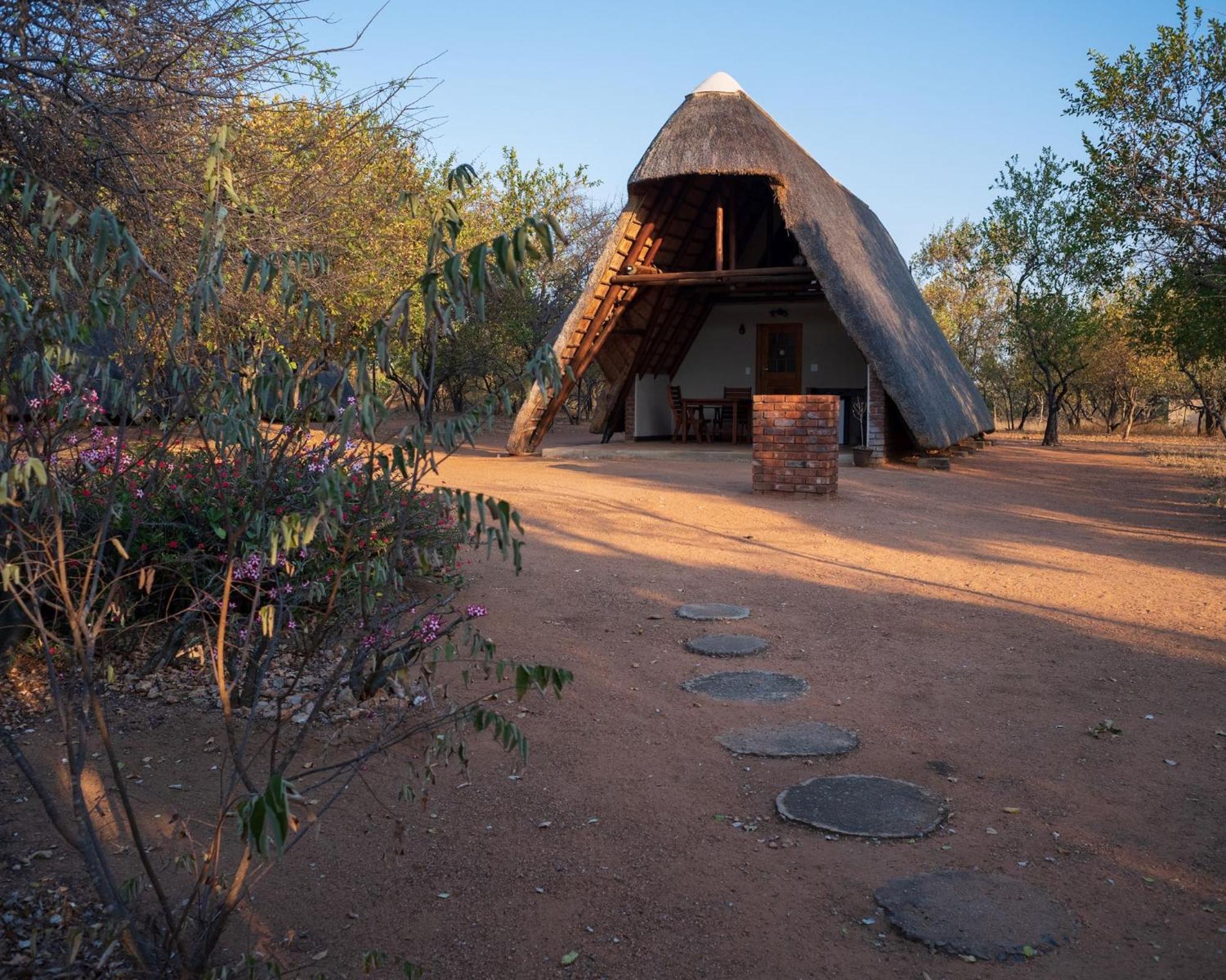 Masorini Bush Lodge & Safari Tents Phalaborwa Kültér fotó